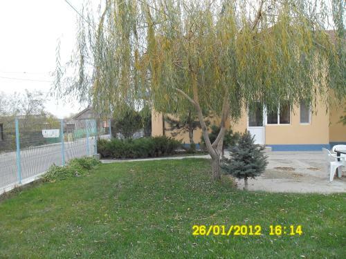 Bed & Breakfast Pension Puiu