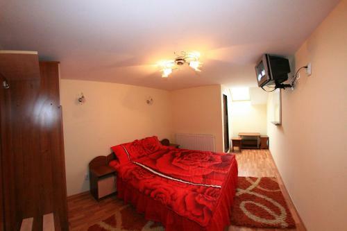Hostal Pensiunea Valea Ursului