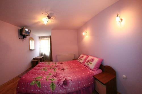 Hostal Pensiunea Valea Ursului