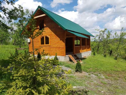 Hostal Pension Piscul Soarelui