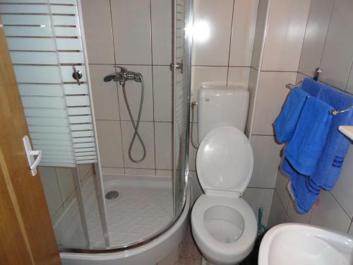Hostal Pensiunea Mikelis International