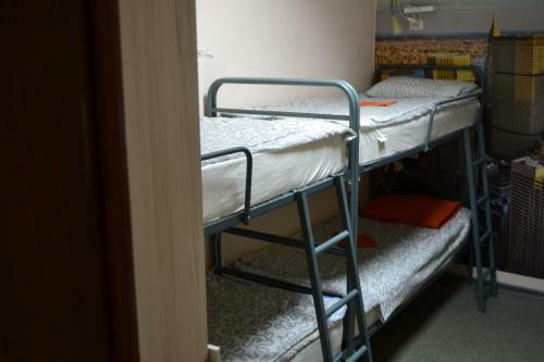 Hostel Na Vologodskoi (former Teremok)