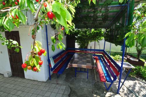 Hostal Guest House Briz