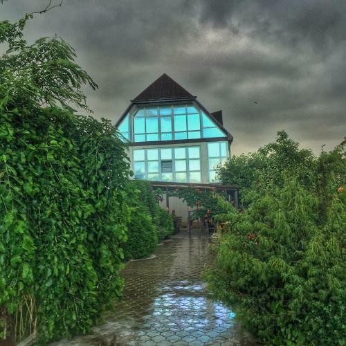 Hostal Villa Rose