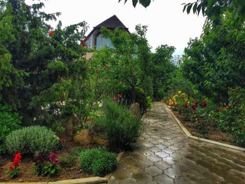 Hostal Villa Rose