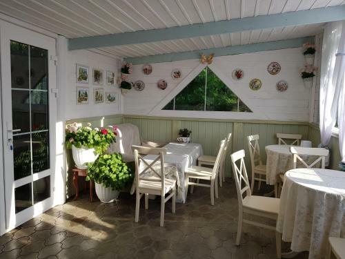 Hostal Villa Rose