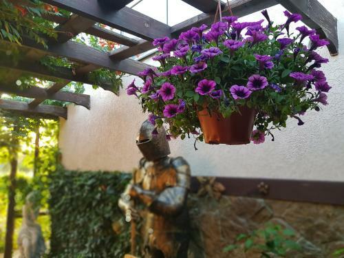 Hostal Villa Rose
