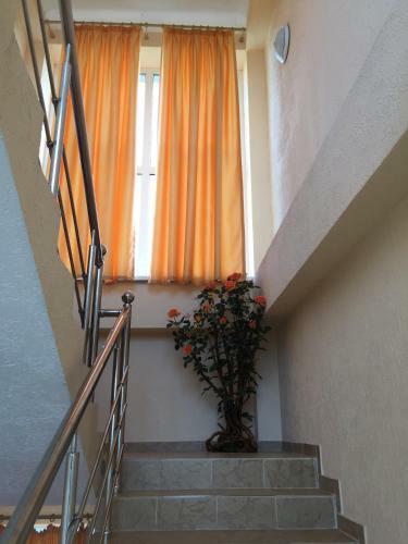 Hostal Guest House Aragvi