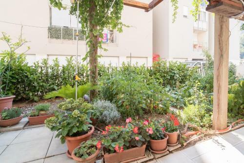 Apartment Marija Omis
