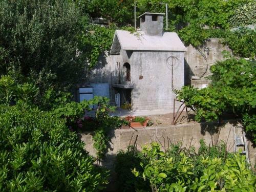 Apartment Borak (161-1)