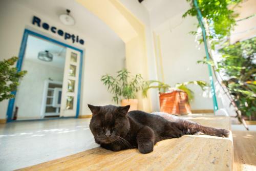 Hostal Vila Pontica