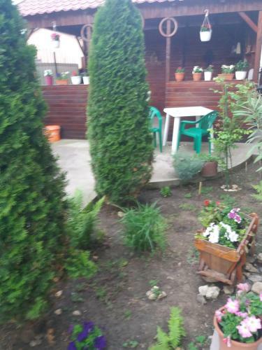 Hostal Vila Talisha