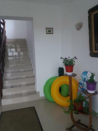 Hostal Vila Talisha
