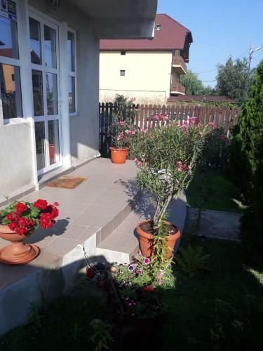 Hostal Vila Talisha
