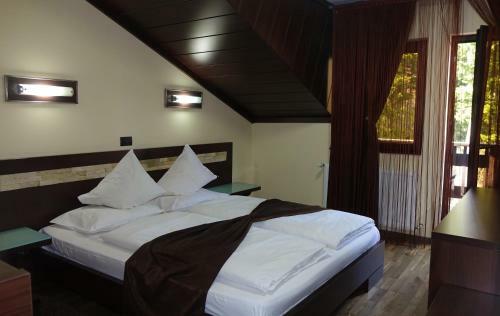 Hotel Complex Cochet