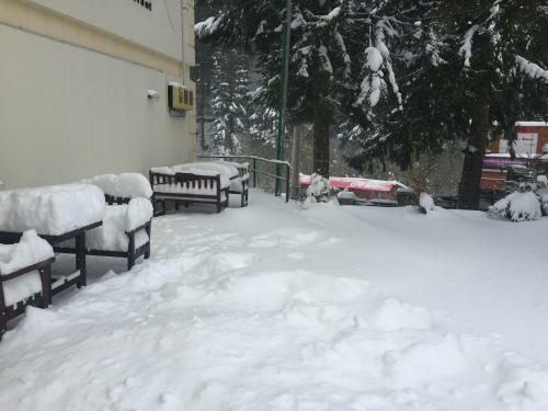 Hostal Pensiunea Kalinder