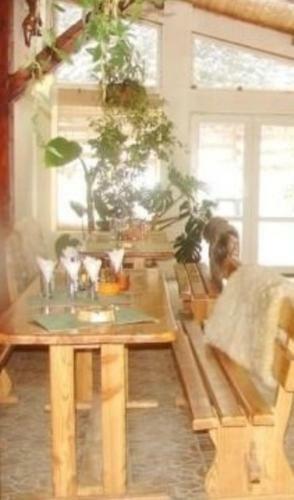 Hostal Pensiunea Liziera
