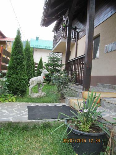 Hostal Casa Magica Busteni