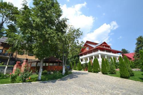 Villa Vila Ioana