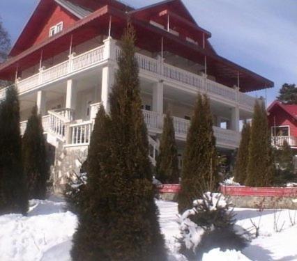 Villa Vila Ioana