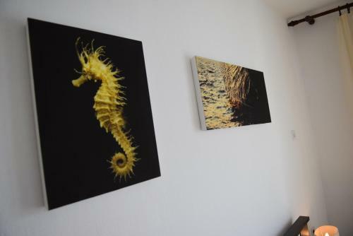 Apartment In Repic