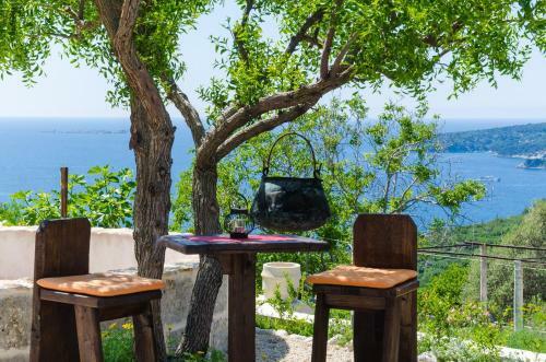 Apartamentos Guest House Savonari