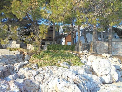 Apartments Dunja Hvar