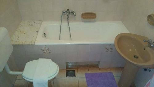 Apartment Vesna