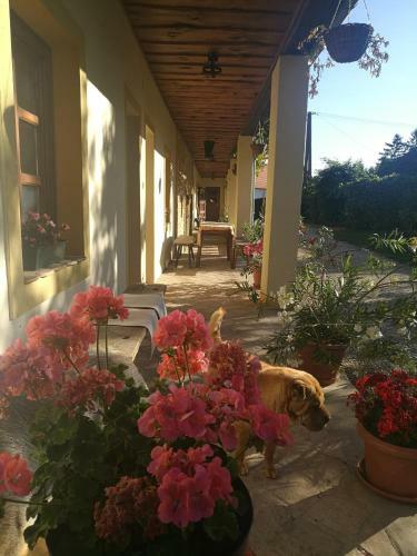 Hostal Kopp�ny Lovasudvar