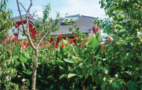 Four-bedroom Apartment In Balatonfenyves