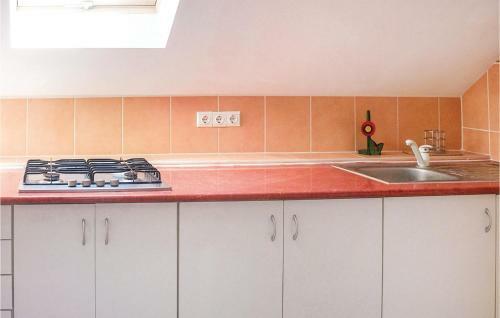 Four-bedroom Apartment In Balatonfenyves