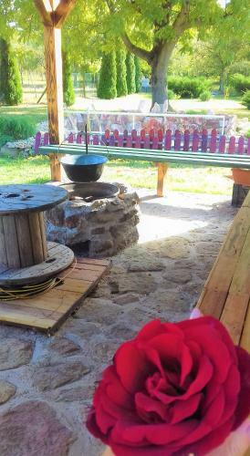 Hostal Krist�ly Vend�gh�z