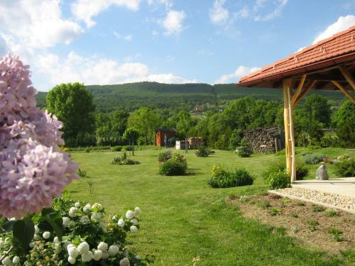 Patakparti Apartman