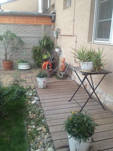 Rozs� Apartman
