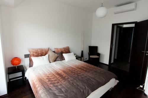 Budapest Terrace Apartment
