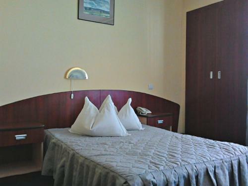 Hotel Silva Busteni