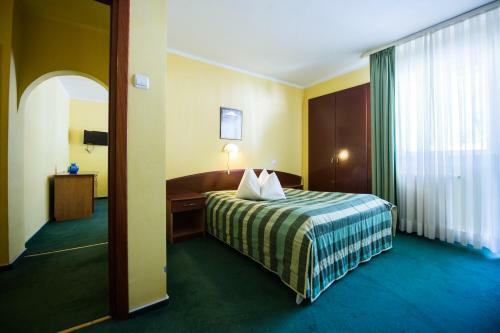 Hotel Silva Busteni