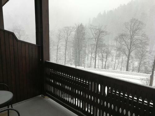 Hotel Conac Bavaria