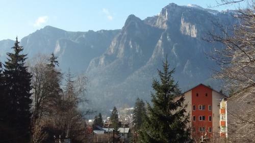 Hotel Conac Bavaria