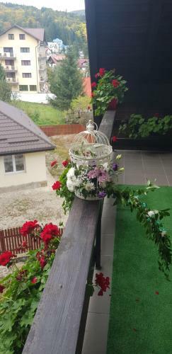 Apartament Kalinderu