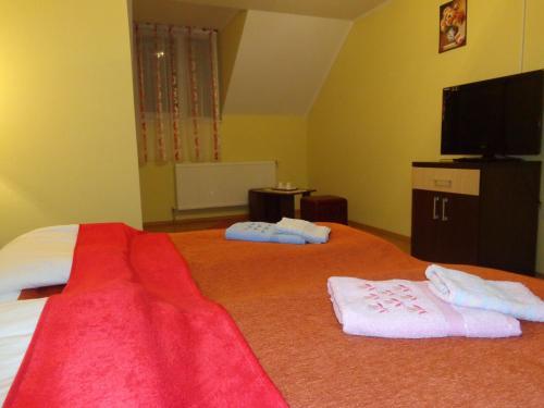 Hostal Pensiunea Radu