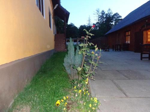 Hostal Pensiunea Radu