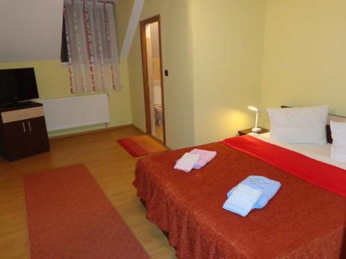Hostal Pensiunea Radu