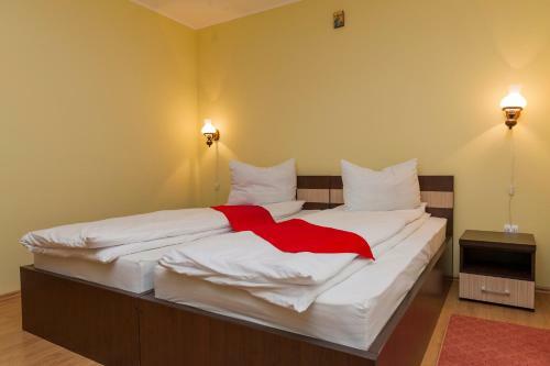 Hostal Pensiunea Radu