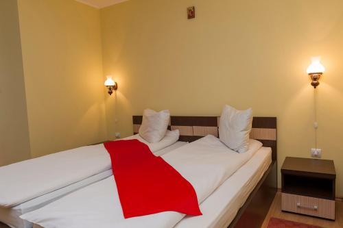 Hostal Pensiunea Radu