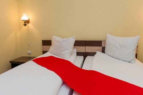 Hostal Pensiunea Radu