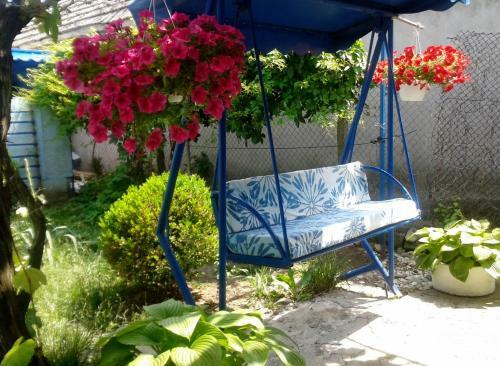 Hostal Casa Babica Guesthouse