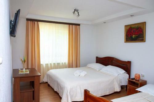 Hostal Rustic Argesean