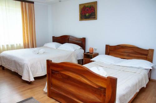 Hostal Rustic Argesean