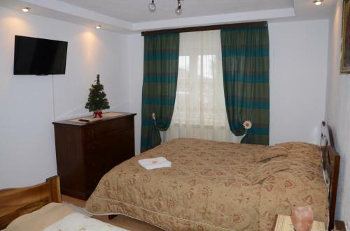 Hostal Rustic Argesean